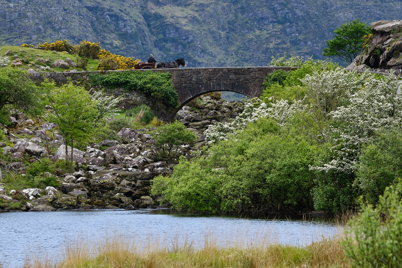 ... Wishing Bridge ...