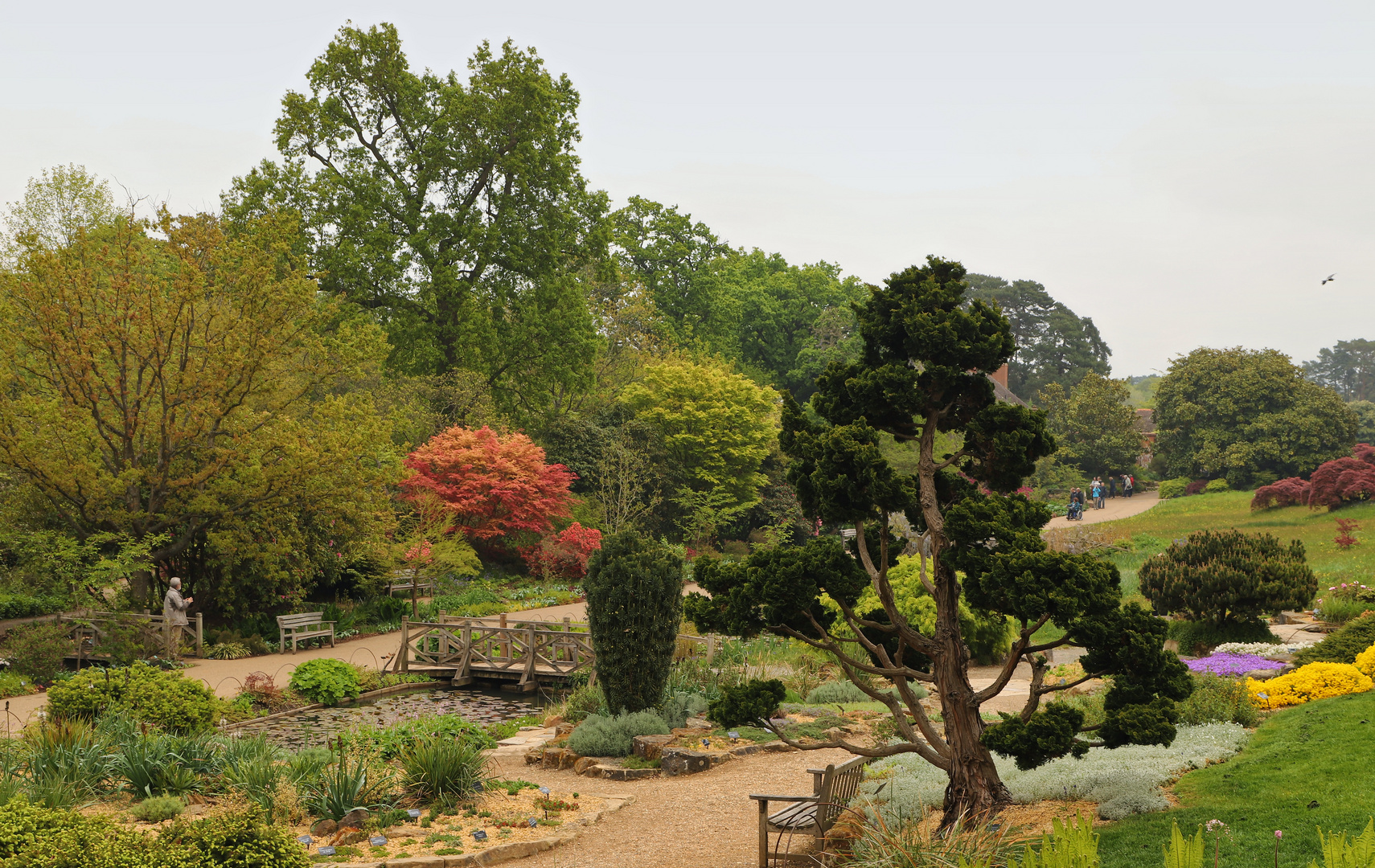 Wisley (2019_05_03_EOS 6D Mark II_2106_ji)