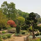 Wisley (2019_05_03_EOS 6D Mark II_2106_ji)