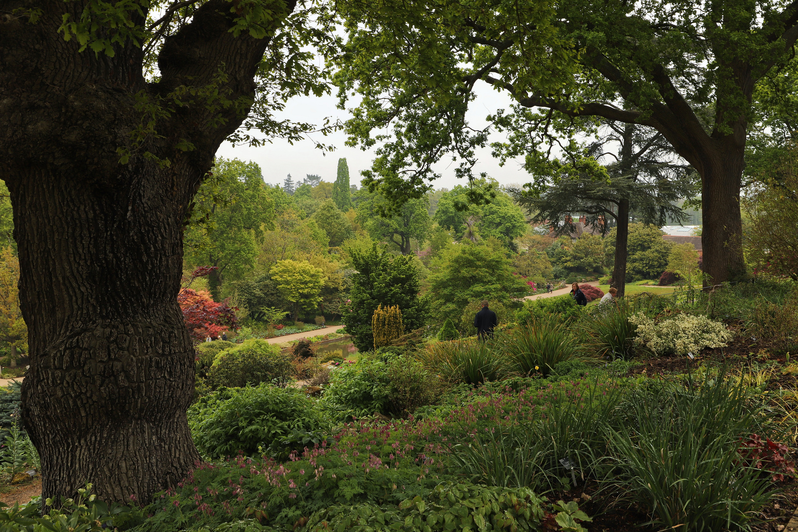 Wisley (2019_05_03_EOS 6D Mark II_2111_ji)