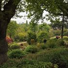 Wisley (2019_05_03_EOS 6D Mark II_2111_ji)