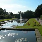 Wisley Fountains