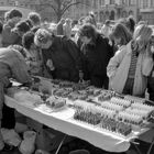 Wismar im März 1990 (1)