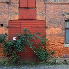 Wismar Rot