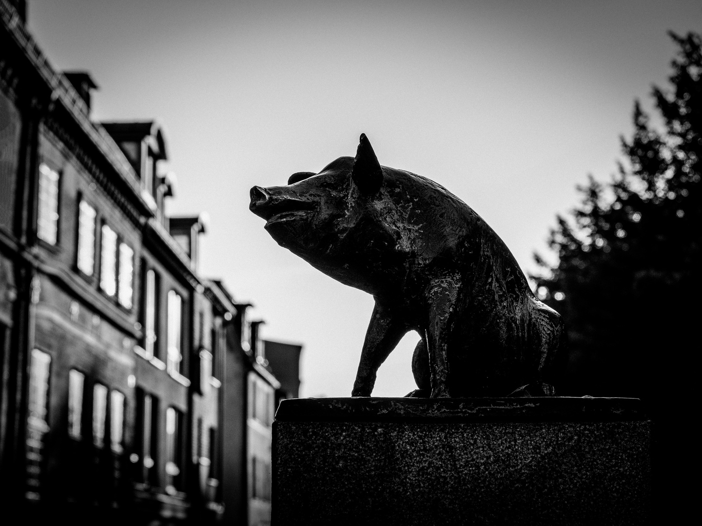 Wismar: Schweinskulptur an der Schweinsbrücke