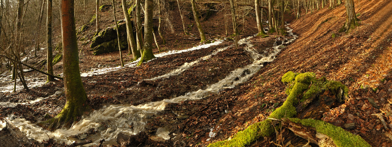 Wispertal - Bachlauf während des Hochwassers