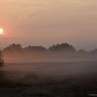 Wisseler Dünen im Nebel