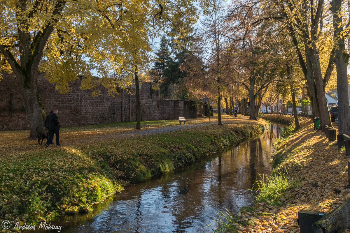 Wissembourg an der Stadtmauer