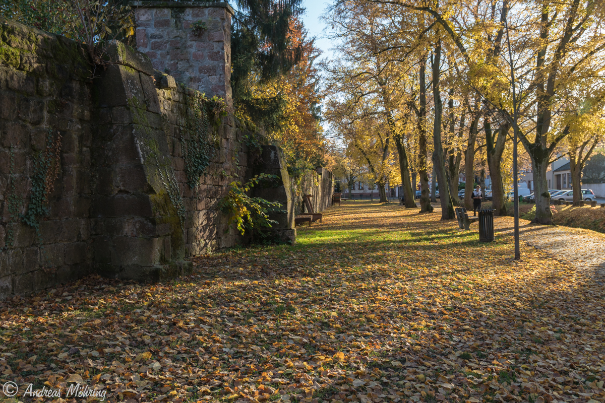 Wissembourg an der Stadtmauer