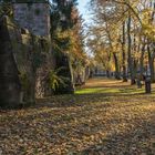 Wissembourg an der Stadtmauer