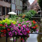 Wissembourg Brücke über die Lauter