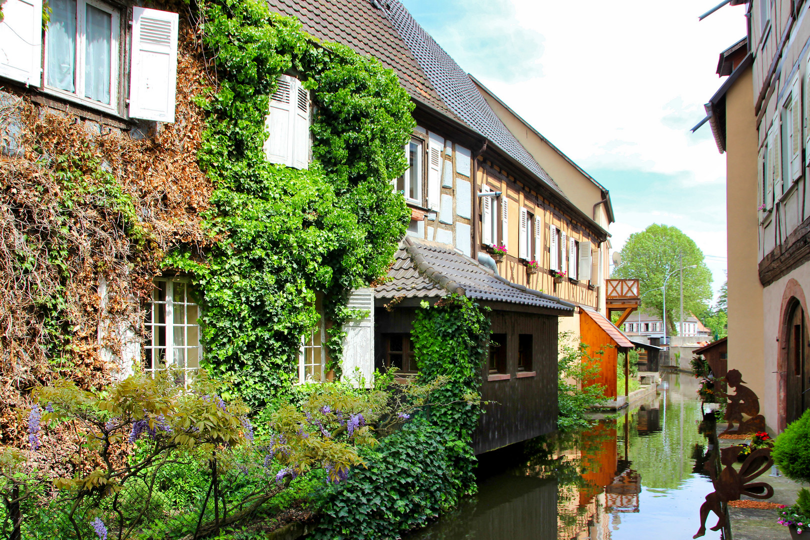  Wissembourg gespiegelt