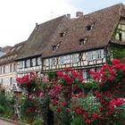 Wissembourg im Juni