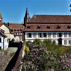 Wissembourg - Sicht von der Stadtmauer auf die Hauptkirchen und Palais Stanislas
