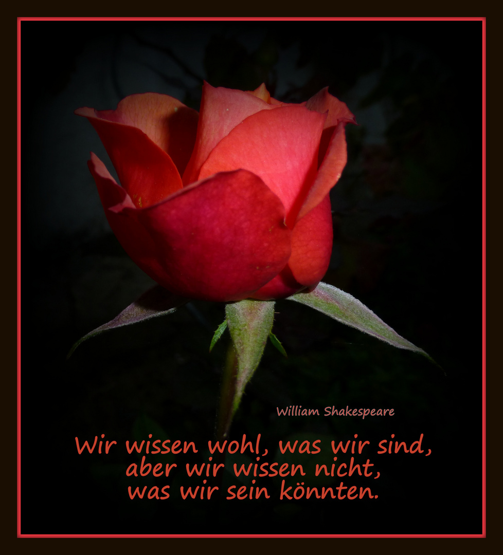 Wissen