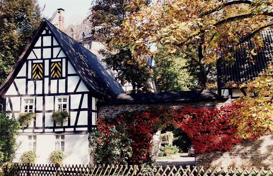 Wissen Schönstein im Herbst