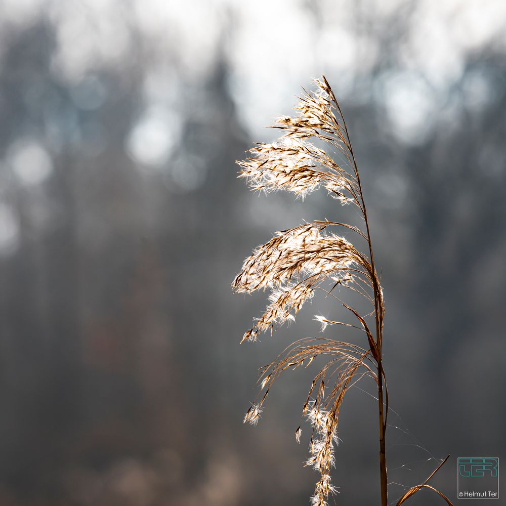 . . . wissen, woher der Wind weht. 