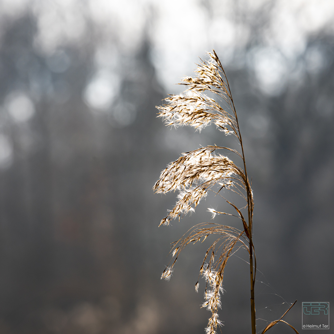 . . . wissen, woher der Wind weht. 