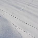 Wissen wo´s lang geht - darauf kommt es an!