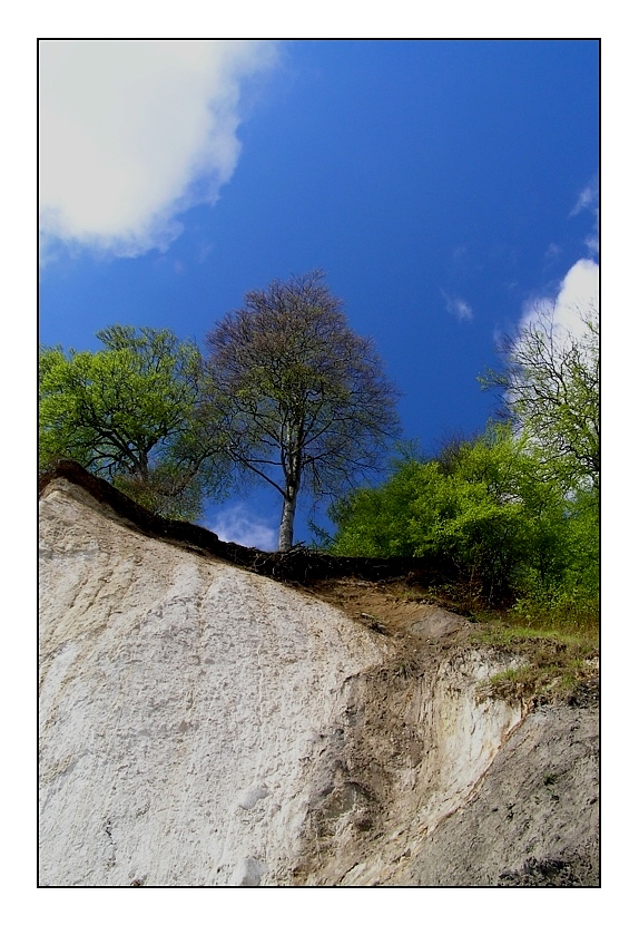 Wissower Klippen in Rügen