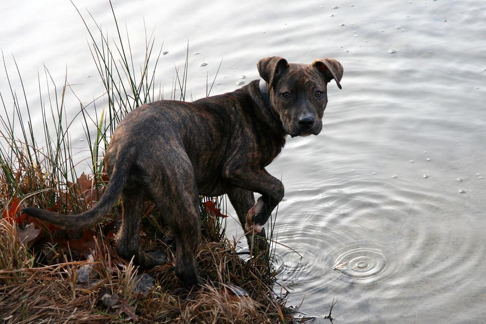 Wisst ihr eigentlich wie kalt das Wasser ist?