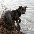 Wisst ihr eigentlich wie kalt das Wasser ist?