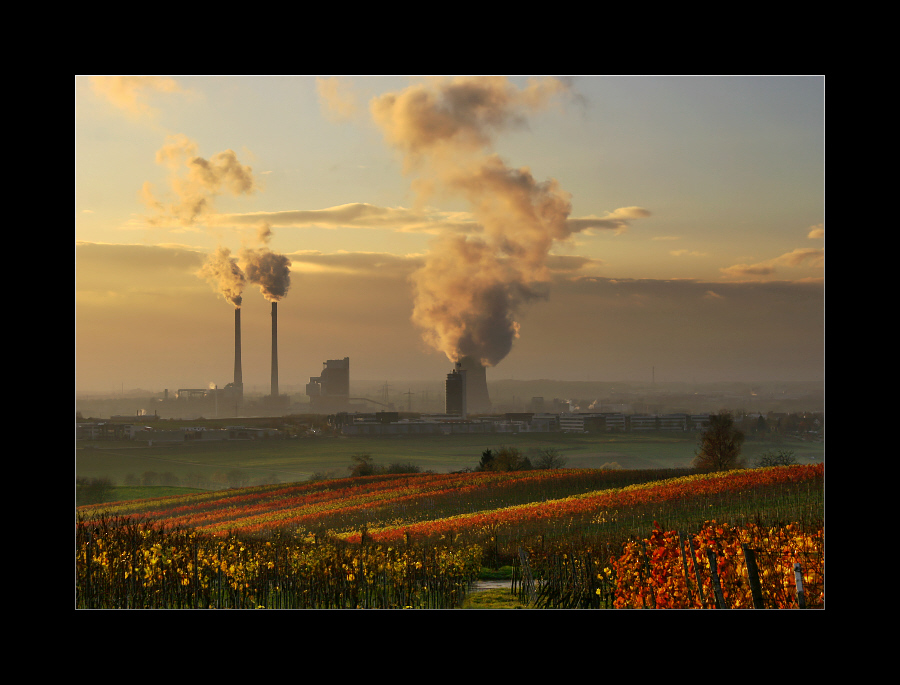 Wißt ihr noch? ... der Herbst ...