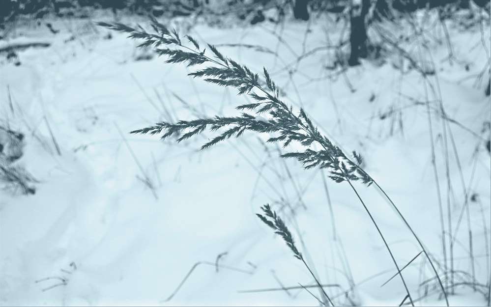 wisst ihr noch wie Winter geht?