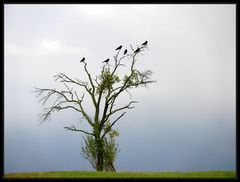 Wißt Ihr zufällig ............ wo die Anderen sind ?