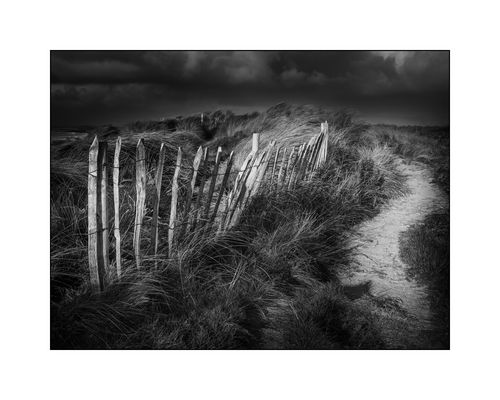 With a burning wish to fly away