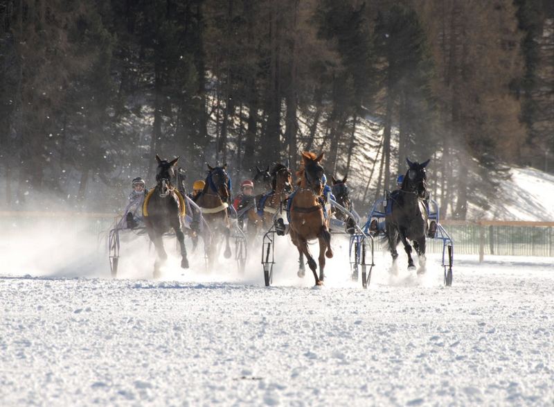 With Turf St.Moritz 2007