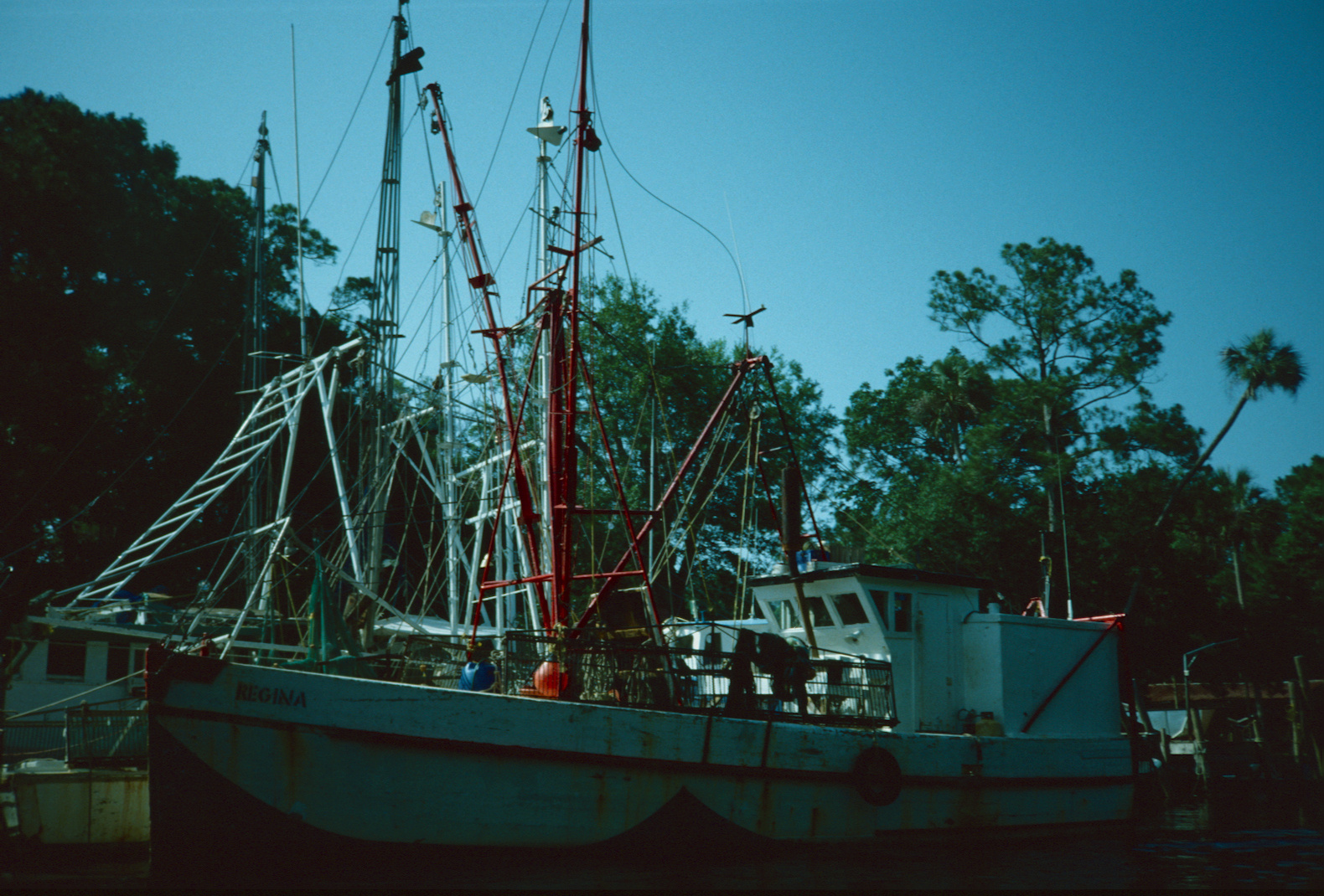 Withlacoochee River, FL - 1989