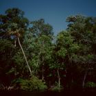 Withlacoochee River, FL - 1989