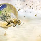 Without the bees, the world is nothing ...