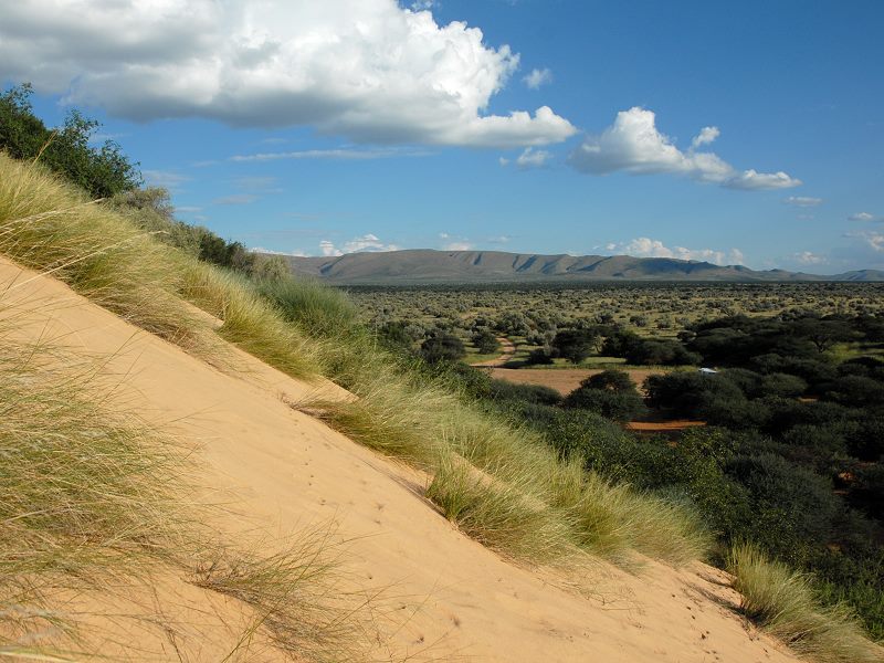 Witsand Nature Reserve