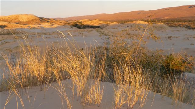 Witsand Nature Reserve, Südafrika