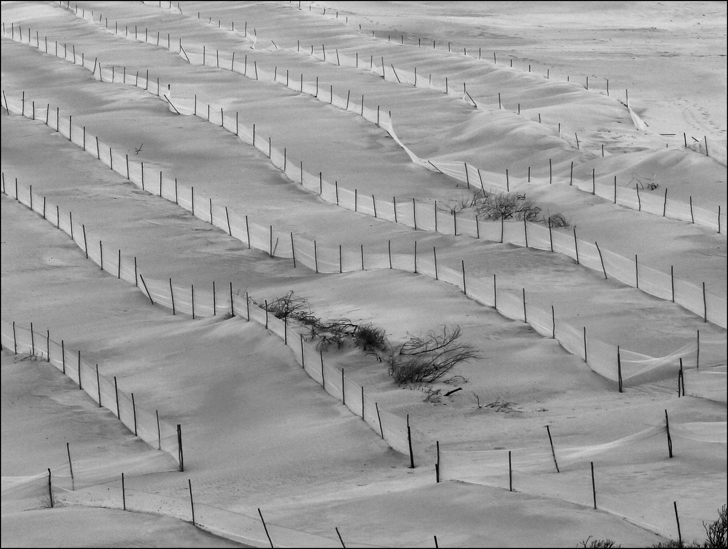 Witsand ("White sand")