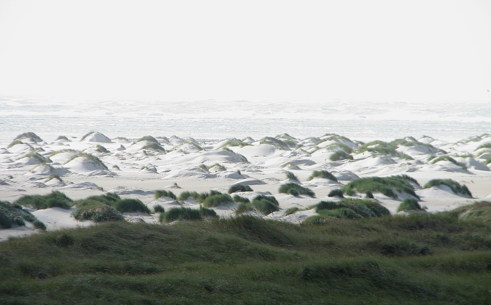 Witt-Düne-(r)(n) Landschaft ...