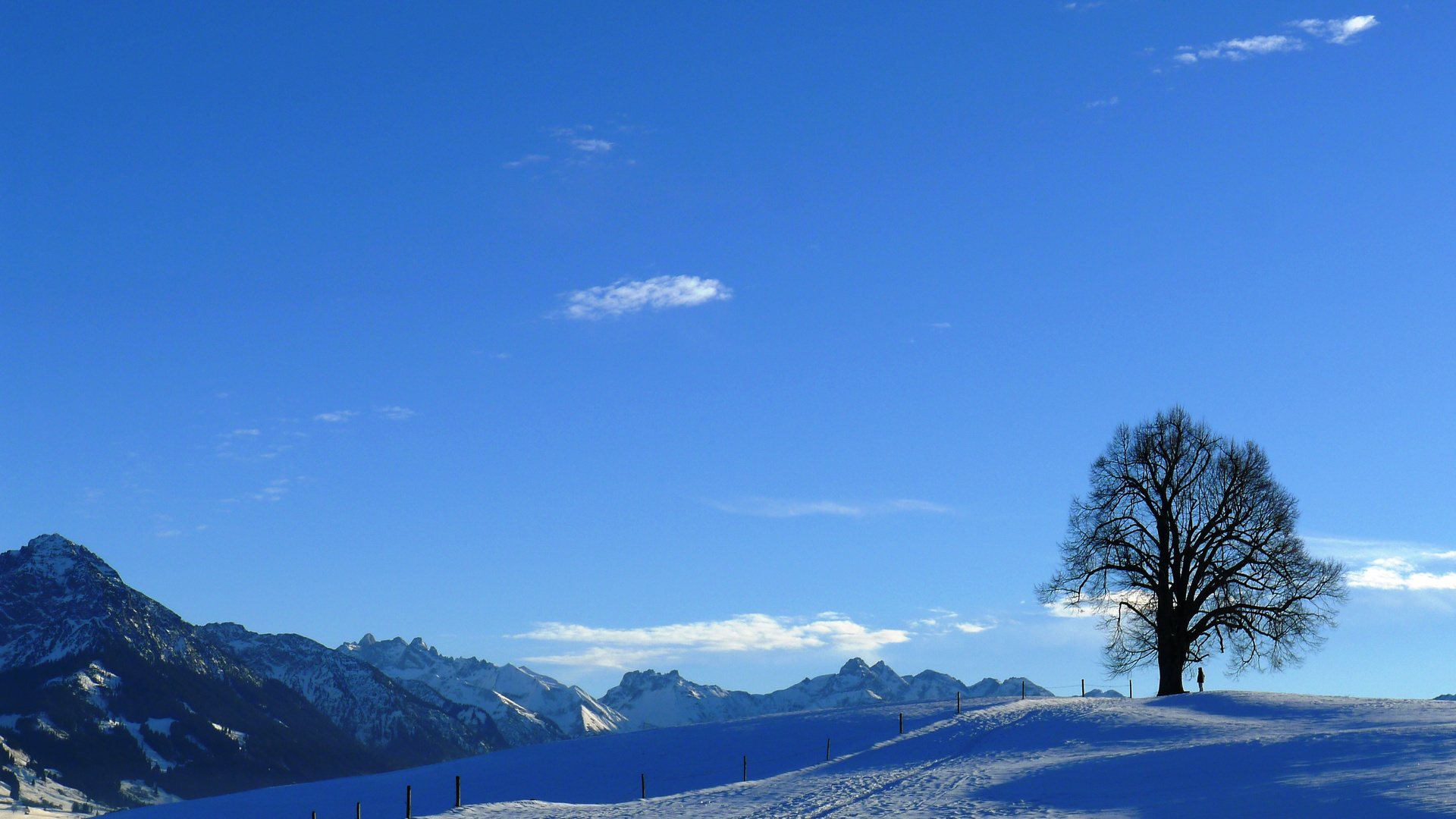 Wittelsbacher Höhe im Winter