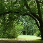 Wittelsbacher Park, Augsburg