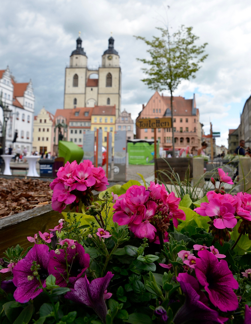 Wittenberg im Reformationsjahr 2017