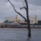 Wittenbergen Hochwasser am 11.01.07