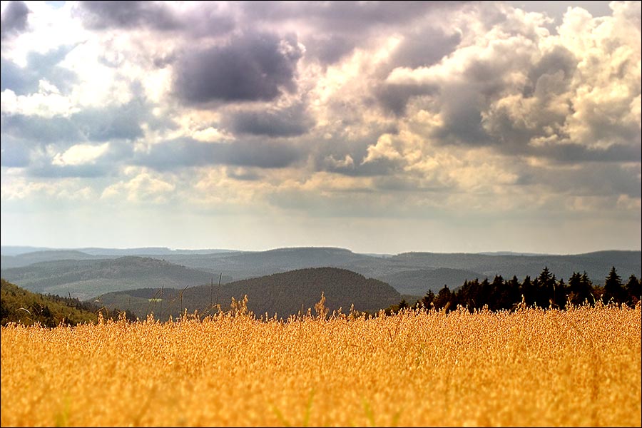 Wittgensteiner Höhen