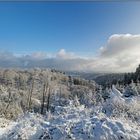 Wittgensteiner Winter