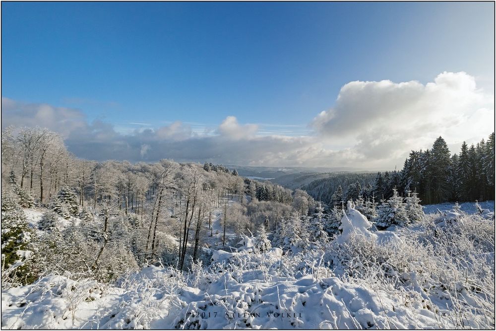 Wittgensteiner Winter