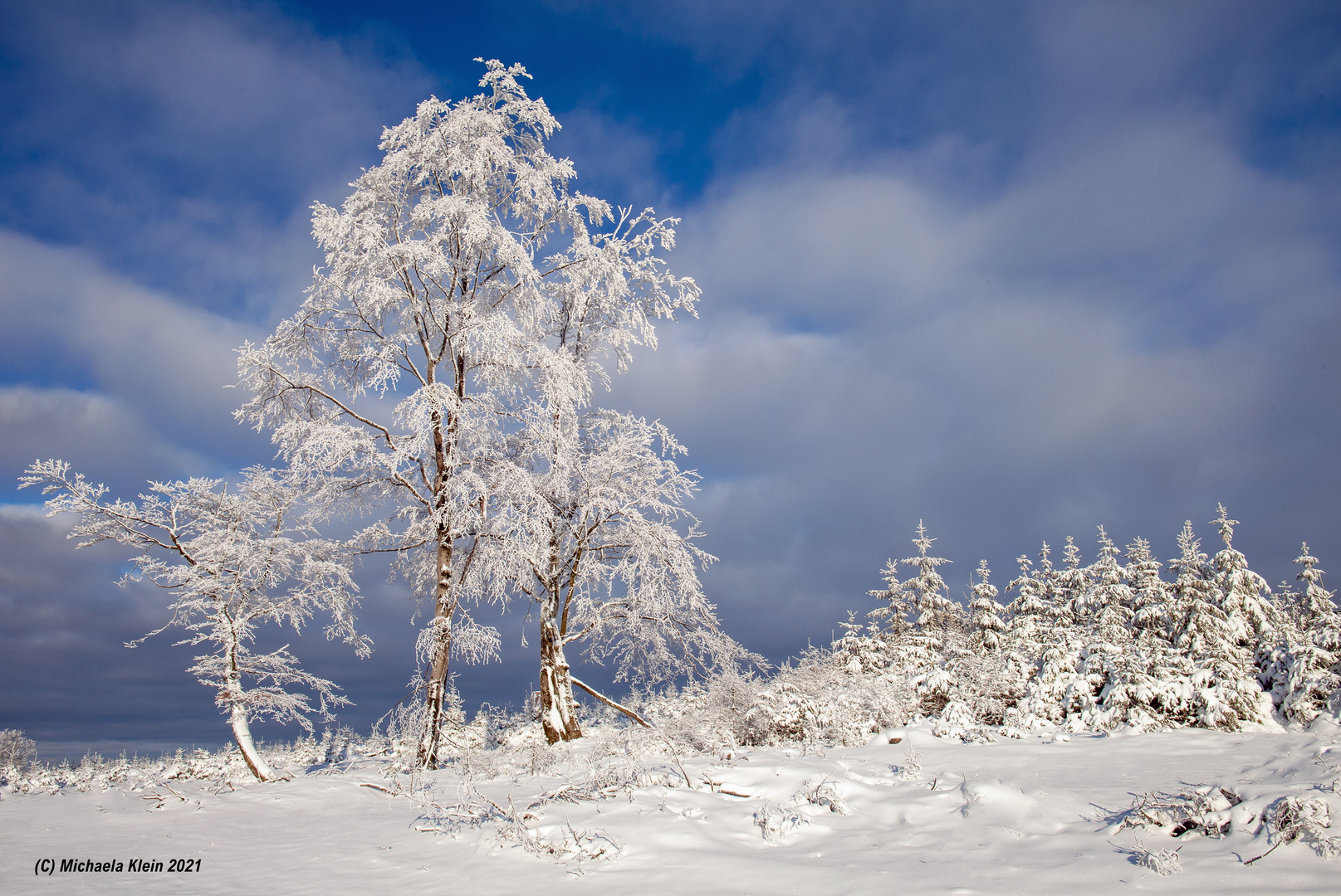 Wittgensteiner Winterlandschaft II