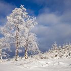 Wittgensteiner Winterlandschaft II