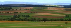 Witthoh-Landschaft im Spätsommer