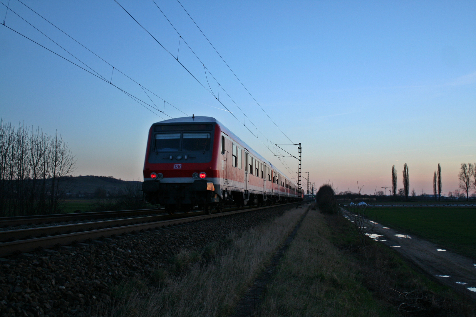 Witti auf dem Weg in den Sonnenuntergang