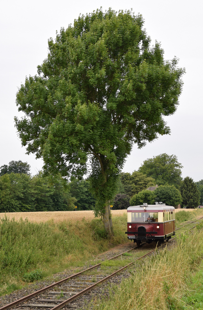 Wittlager Kreisbahn  -8